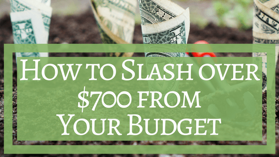 How to Slash over $700 from your Budget