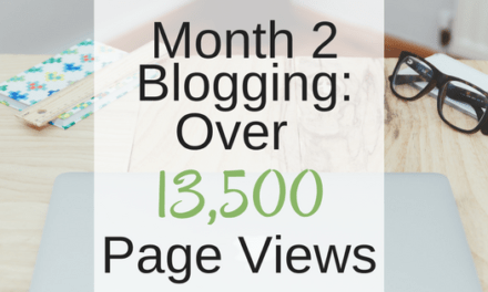 Month 2 Blogging: Over 13,500 Page Views