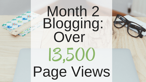 Month 2 Blogging: Over 13,500 Page Views