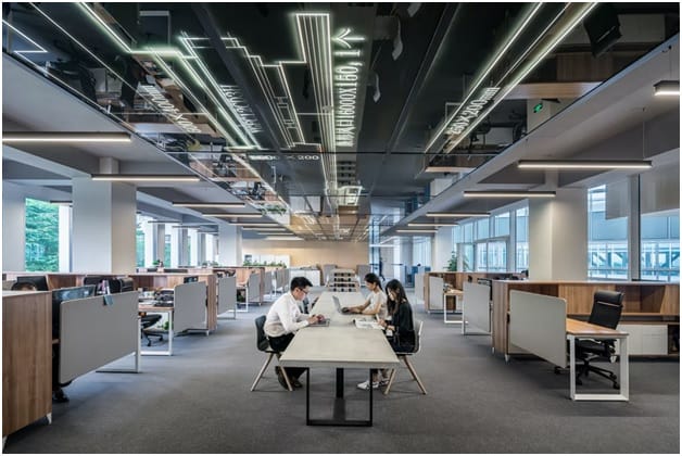How To Make A New Company Well-Organized From The Start